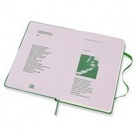Блокнот Moleskine Bob Dylan средний зеленый LEBDQP060A