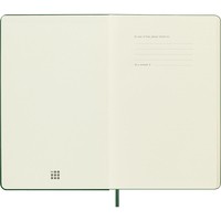 Фото Дневник Moleskine 2025 средний DHK1512DC3Y25
