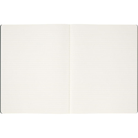 Набор тетрадей Moleskine Cahier 2 шт Student XXL Средний Линейка Миртовый зеленый CHSTU71K15